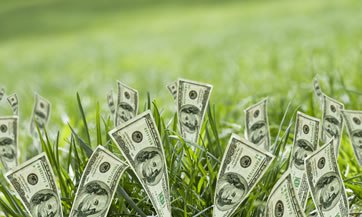 dinero-verde-dolares